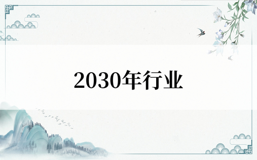 2030年行业